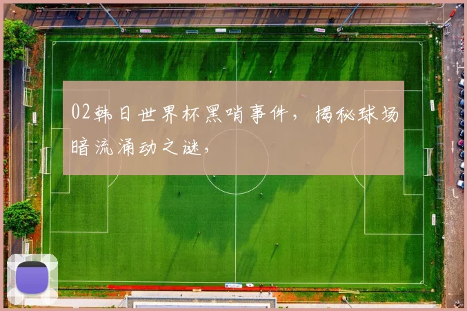 02韩日世界杯黑哨事件，揭秘球场暗流涌动之谜，