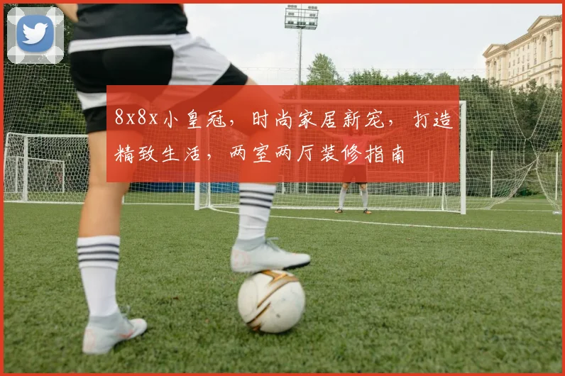 8x8x小皇冠，时尚家居新宠，打造精致生活，两室两厅装修指南